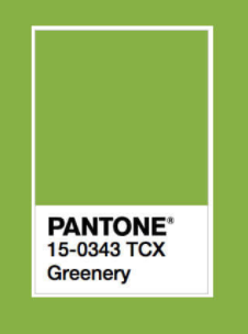Greenery Pantone